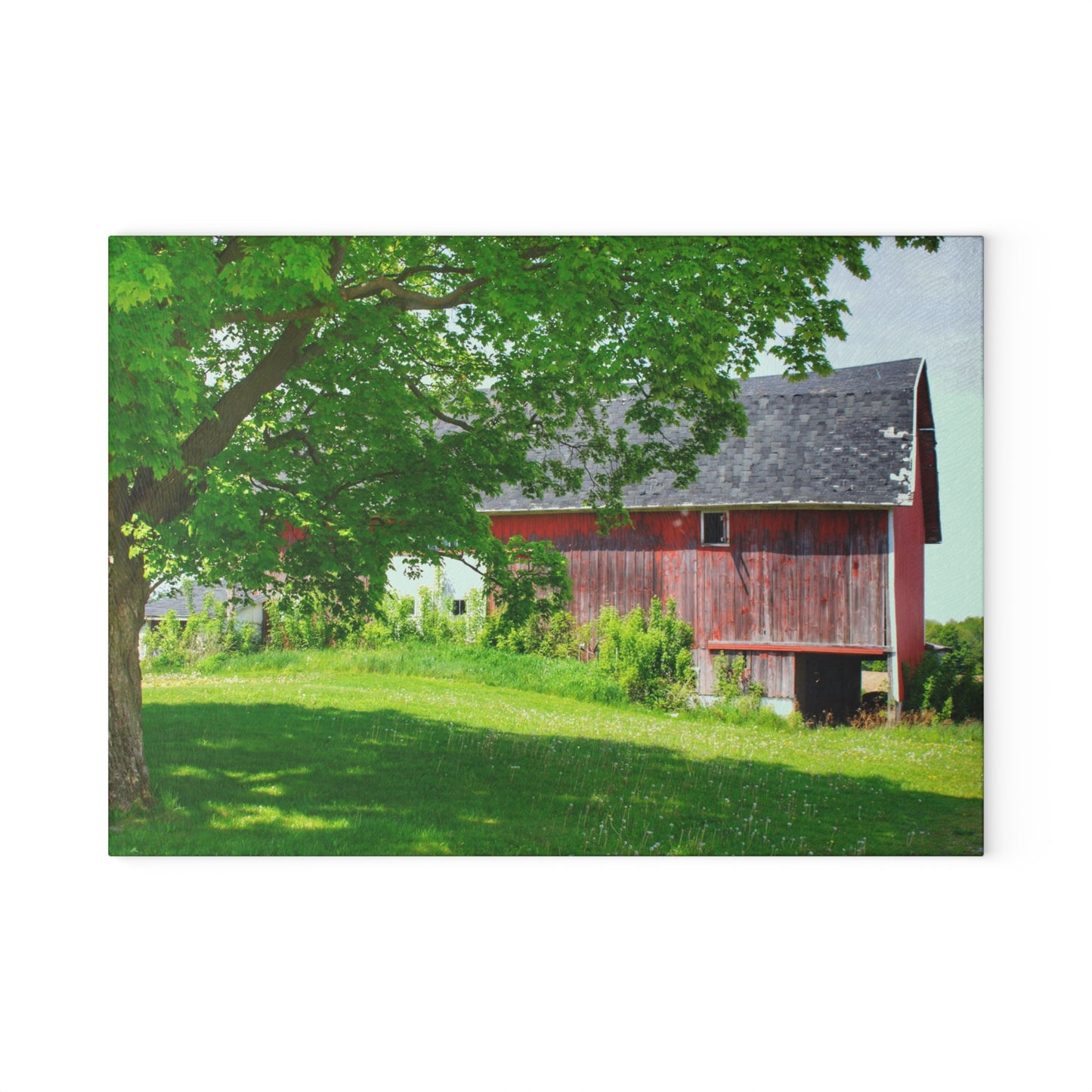 U R There Photography Colwood Road Red Rustic Farmhouse Tempered-Glass Cutting Board