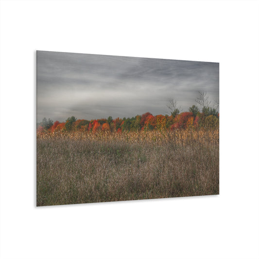 U R There Photography Fall on Murphy Lake V Rustic Farmhouse Acrylic Wall Print
