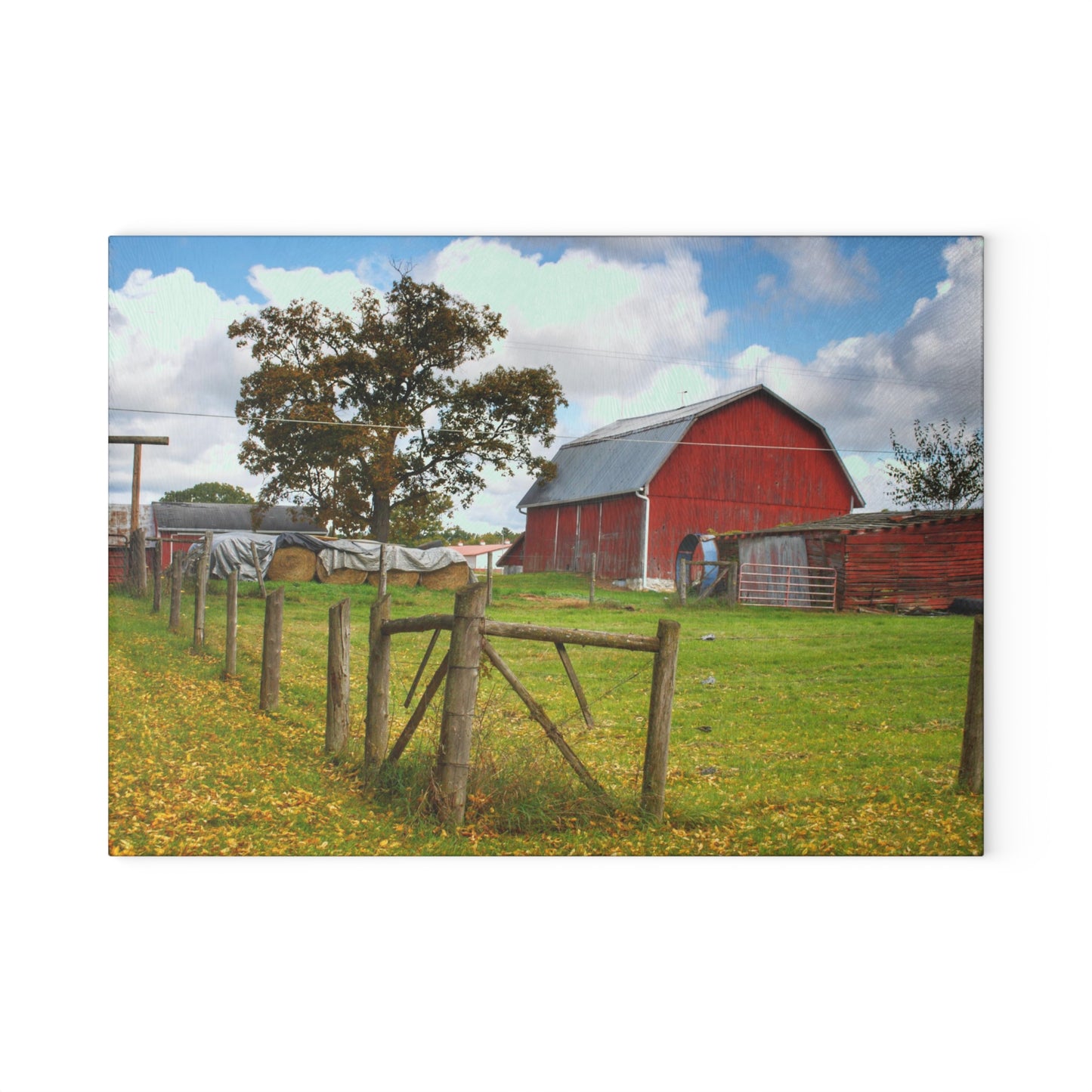 U R There Photography Beyond the Fence on Frances Road Rustic Farmhouse Tempered-Glass Cutting Board