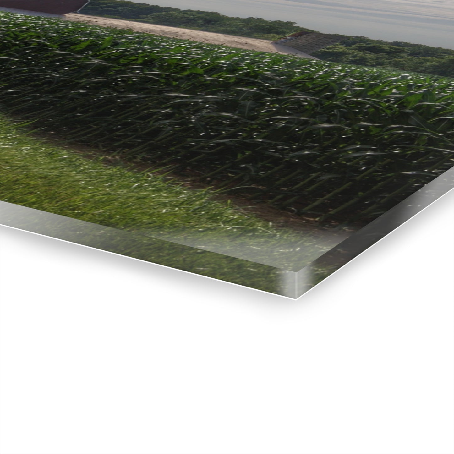 U R There Photography Above the Corn on Piersonville Road II Rustic Farmhouse Acrylic Wall Print