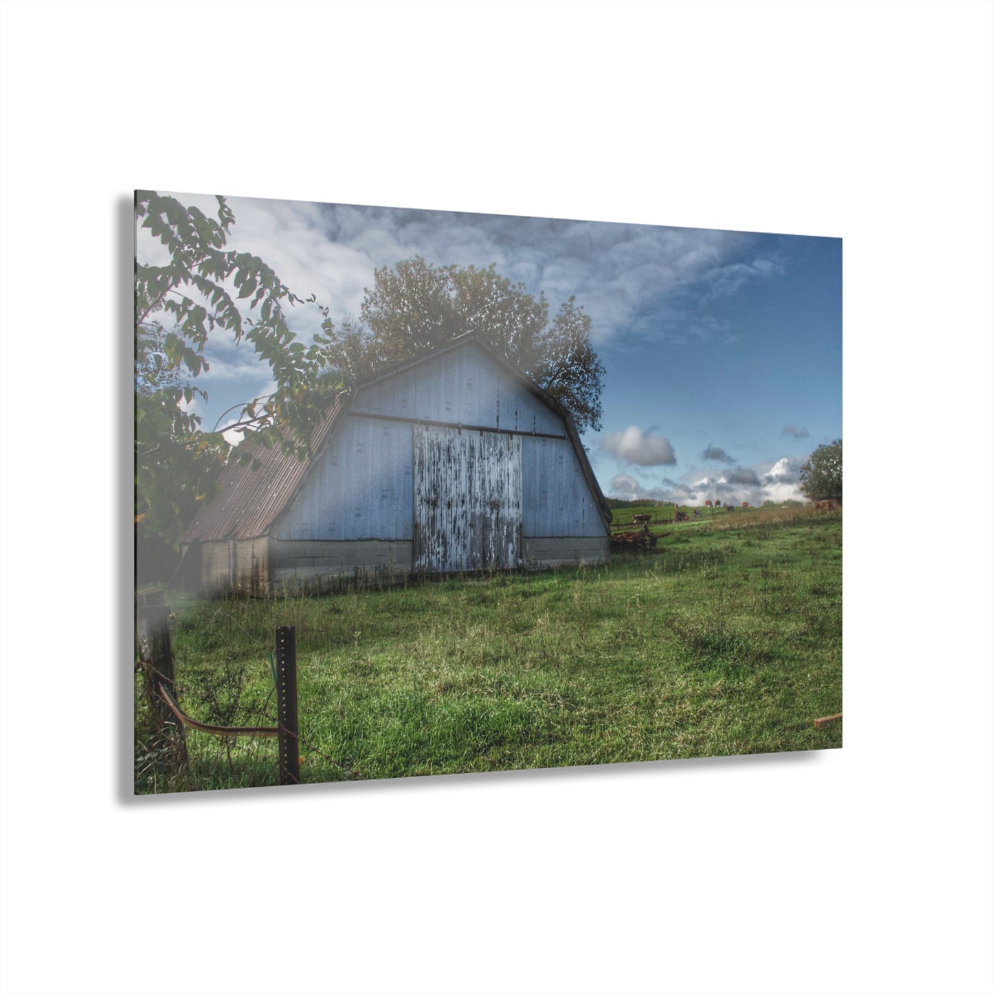 U R There Photography East Frances Quonset and Cows Rustic Farmhouse Acrylic Wall Print