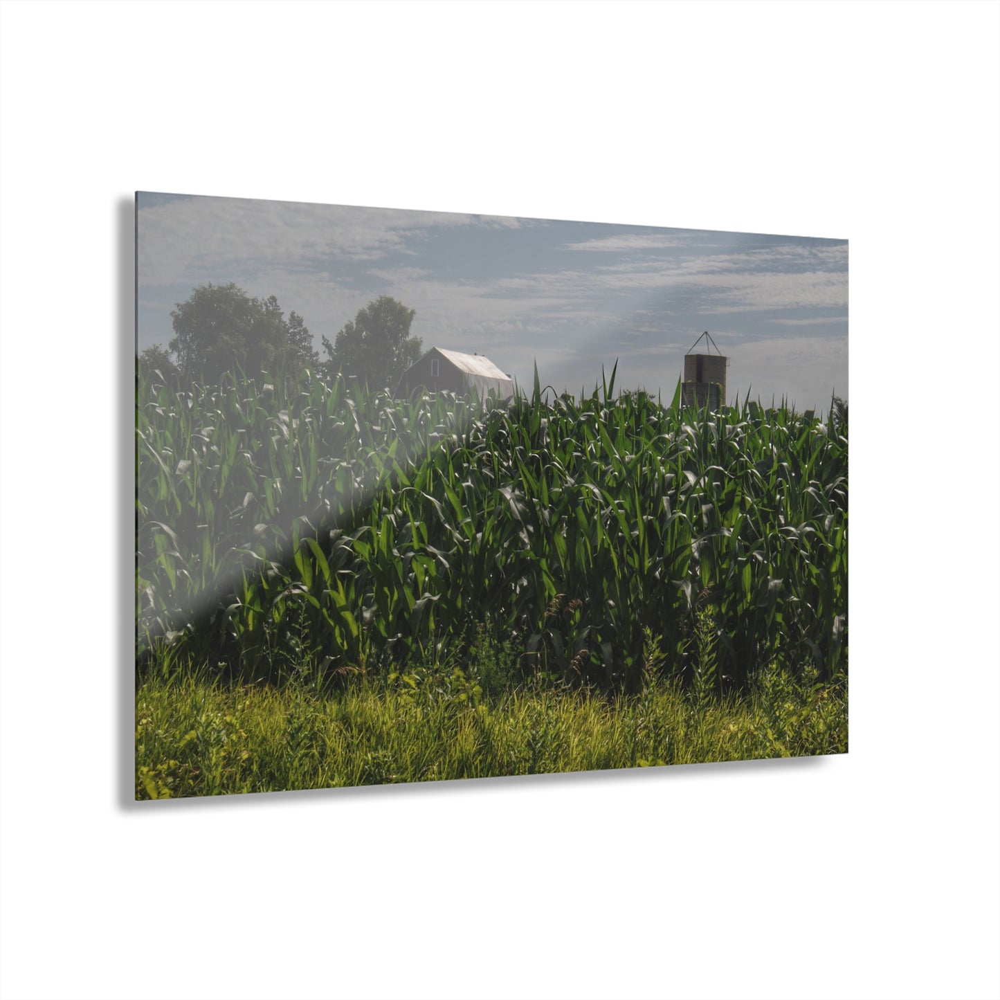 U R There Photography Above the Corn on Piersonville Road I Rustic Farmhouse Acrylic Wall Print