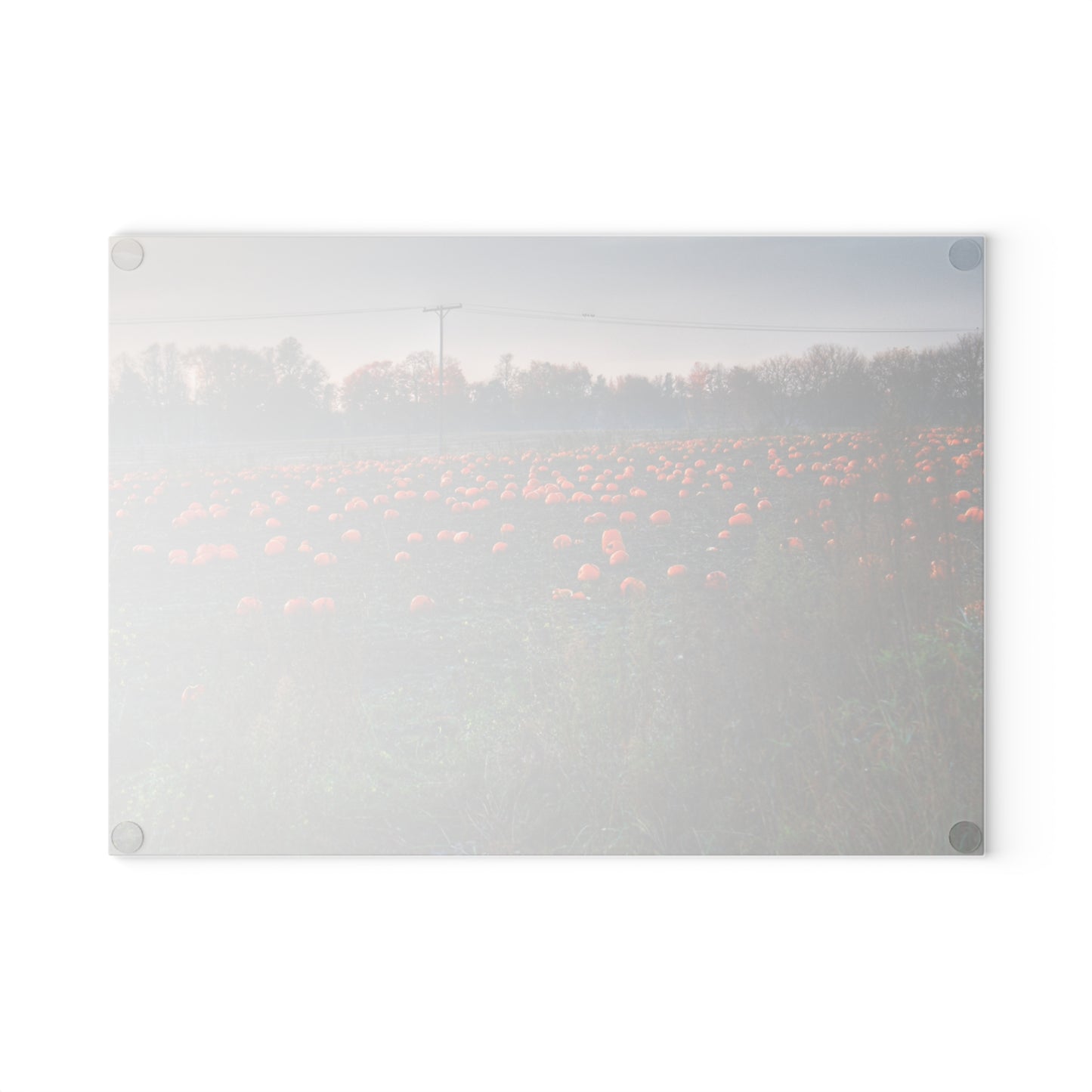 Barn Boutique Rustic Tempered-Glass Cutting Board| Five Lakes Pumpkins