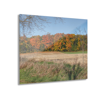 U R There Photography Fall on Piersonville Road Rustic Farmhouse Acrylic Wall Print