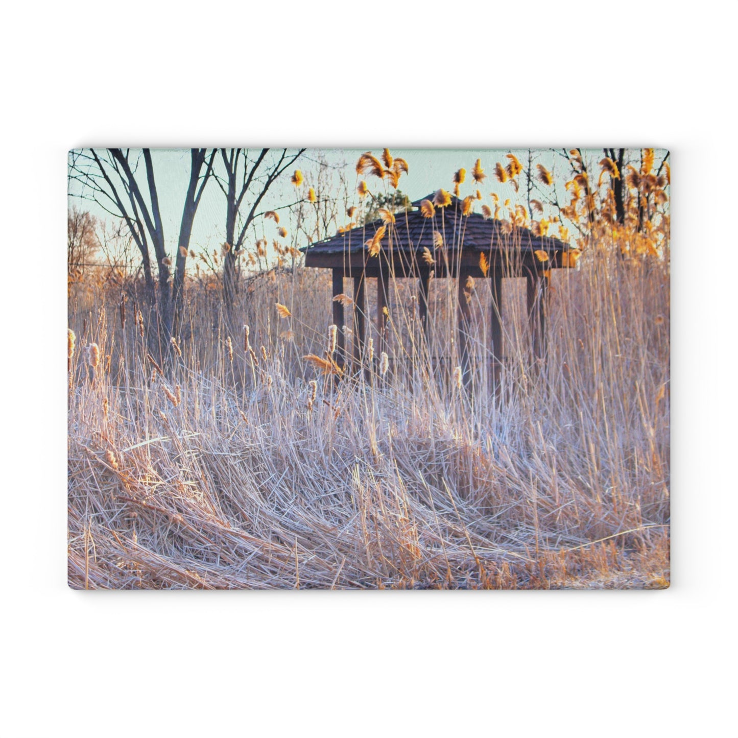 U R There Photography Haines Hidden Gazebo Rustic Farmhouse Tempered-Glass Cutting Board