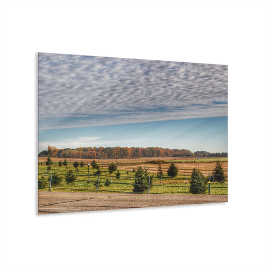 U R There Photography Fences, Firs and Fall Rustic Farmhouse Acrylic Wall Print