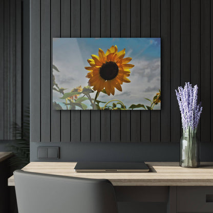 Barn Boutique Modern Farmhouse Acrylic Wall Print| Awakening Sunflower