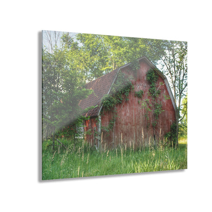 U R There Photography Murphy Lake Road Old Red Rustic Farmhouse Acrylic Wall Print