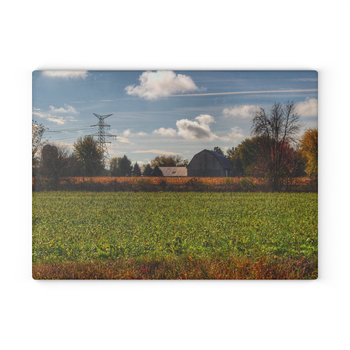 U R There Photography Wadsworth Road Grey Rustic Farmhouse Tempered-Glass Cutting Board