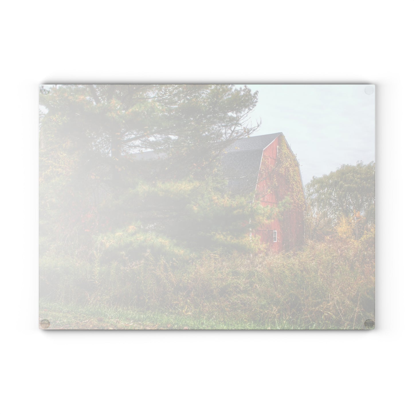 U R There Photography Green Corners Road Hidden Red Rustic Farmhouse Tempered-Glass Cutting Board