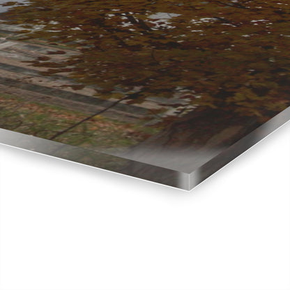 U R There Photography Millville Road White Rustic Farmhouse Acrylic Wall Print