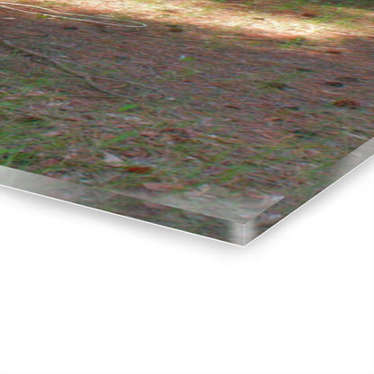 U R There Photography Hickory Place Yard Art I Rustic Farmhouse Acrylic Wall Print