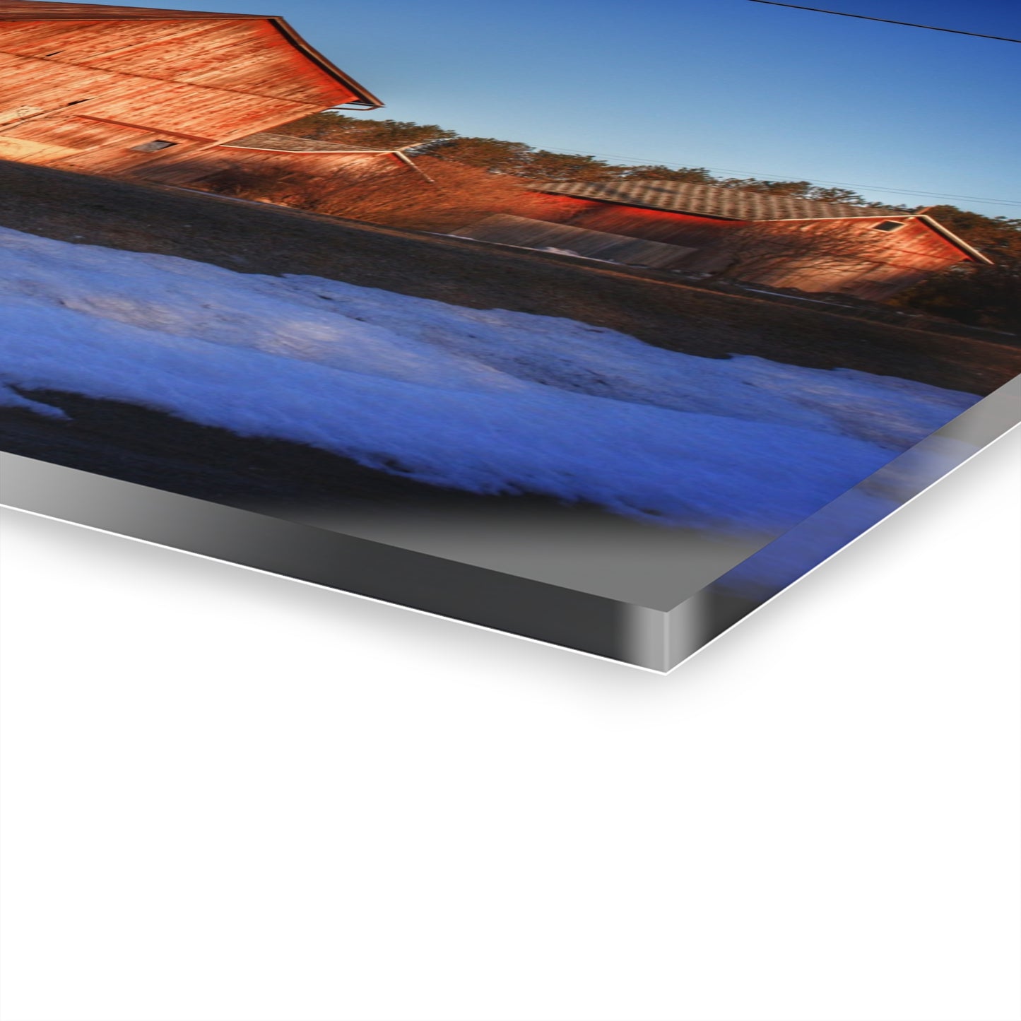 U R There Photography M-15 Reds in Winter Rustic Farmhouse Acrylic Wall Print