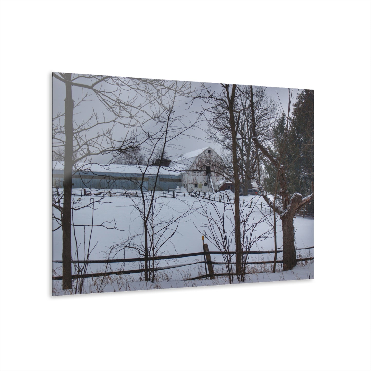 U R There Photography Oakwood Hidden White Rustic Farmhouse Acrylic Wall Print