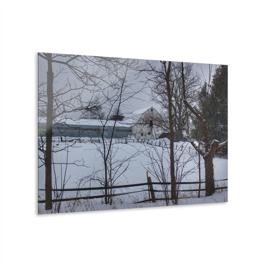 U R There Photography Oakwood Hidden White Rustic Farmhouse Acrylic Wall Print