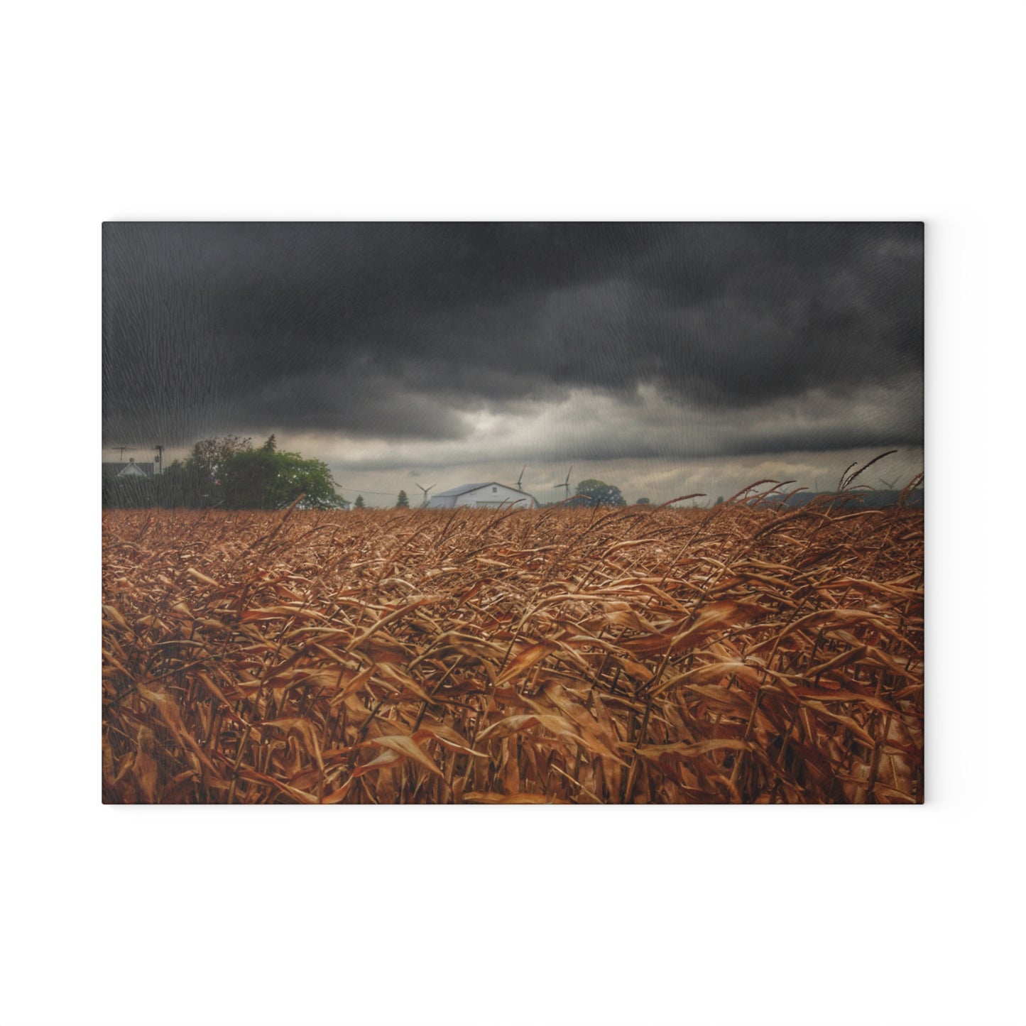 U R There Photography Garner Road Hidden White Rustic Farmhouse Tempered-Glass Cutting Board