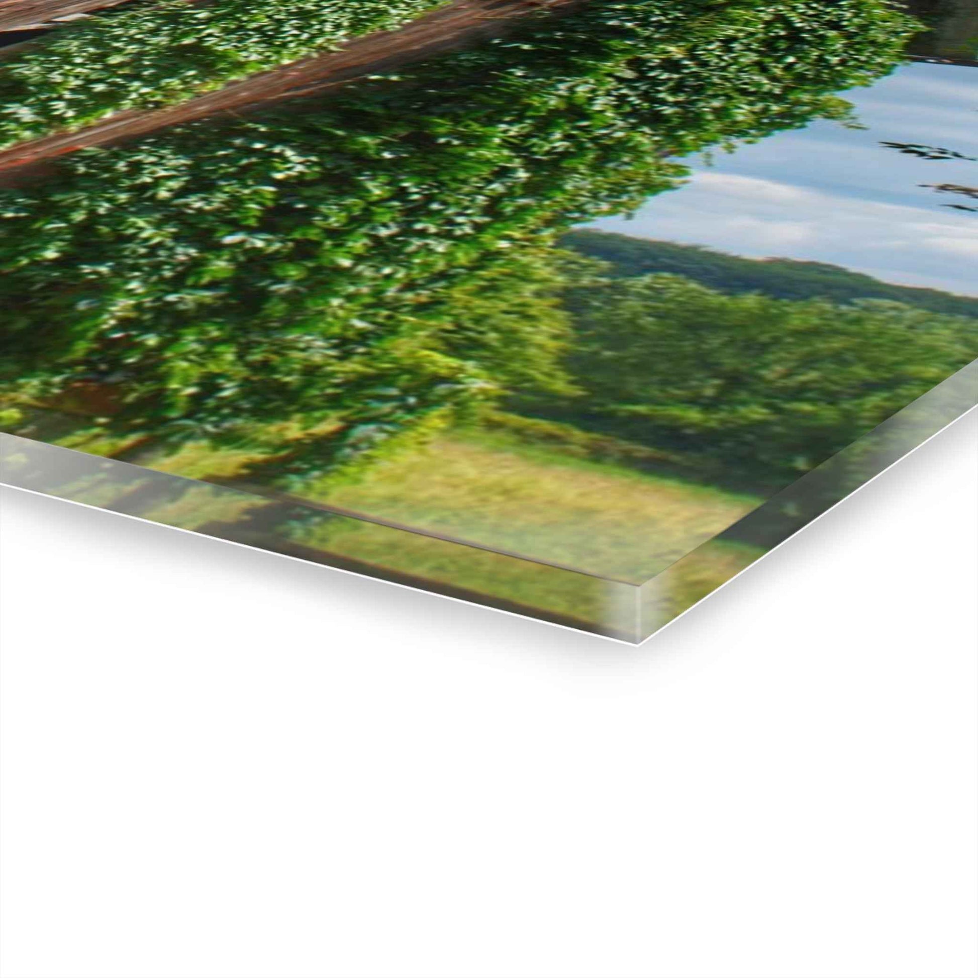 U R There Photography North Branch Ivy Grey I Rustic Farmhouse Acrylic Wall Print