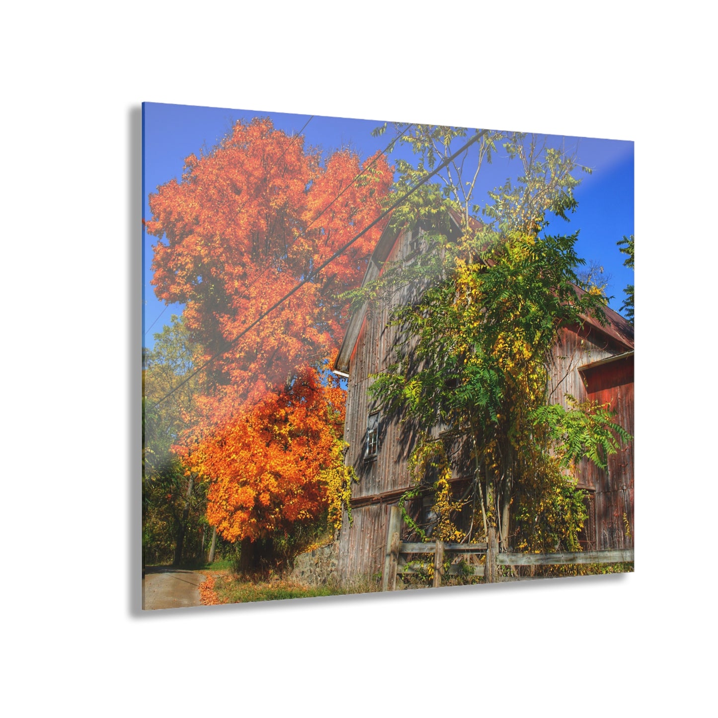 U R There Photography Oxford Rusted Red in Fall Rustic Farmhouse Acrylic Wall Print