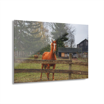 U R There Photography South Summers Road Old Grey and Caramel I Rustic Farmhouse Acrylic Wall Print