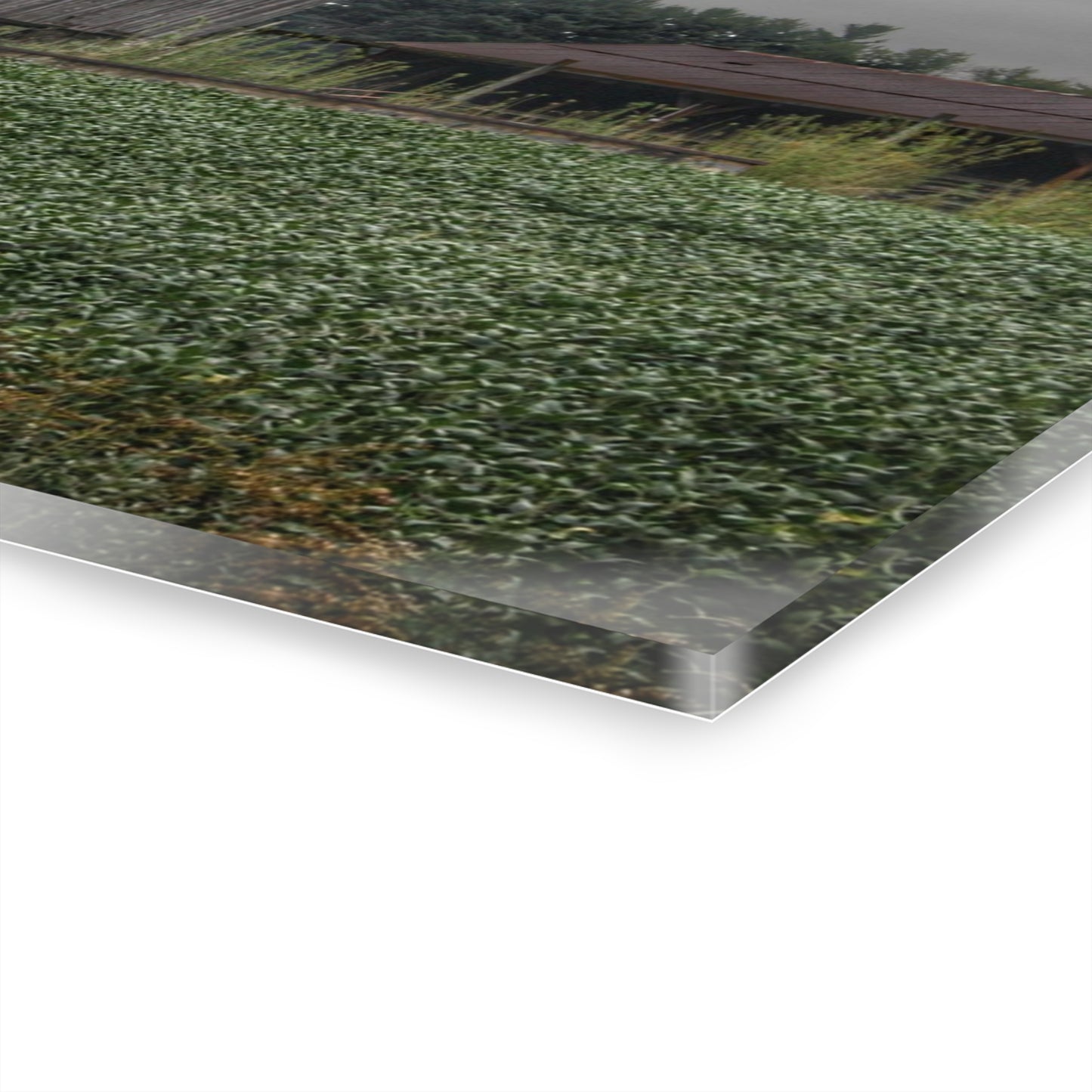 U R There Photography East Millington Road Grey and Stable Rustic Farmhouse Acrylic Wall Print