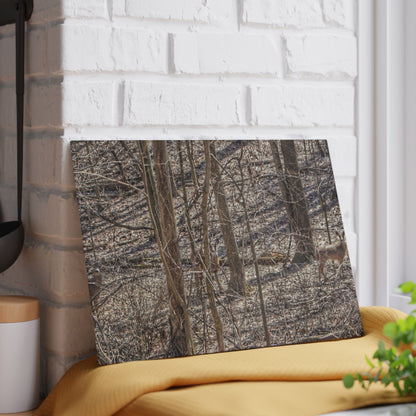 U R There Photography Three Does of Dryden Rustic Farmhouse Acrylic Analog Wall Clock