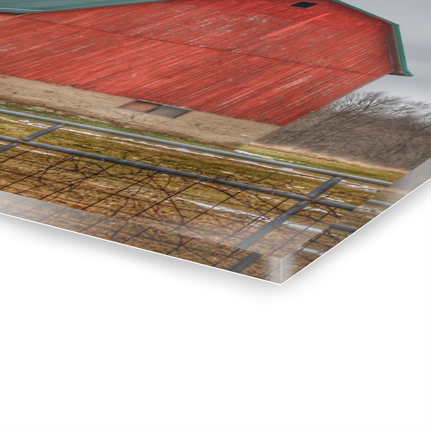 U R There Photography Lonsberry Red Rustic Farmhouse Acrylic Wall Print