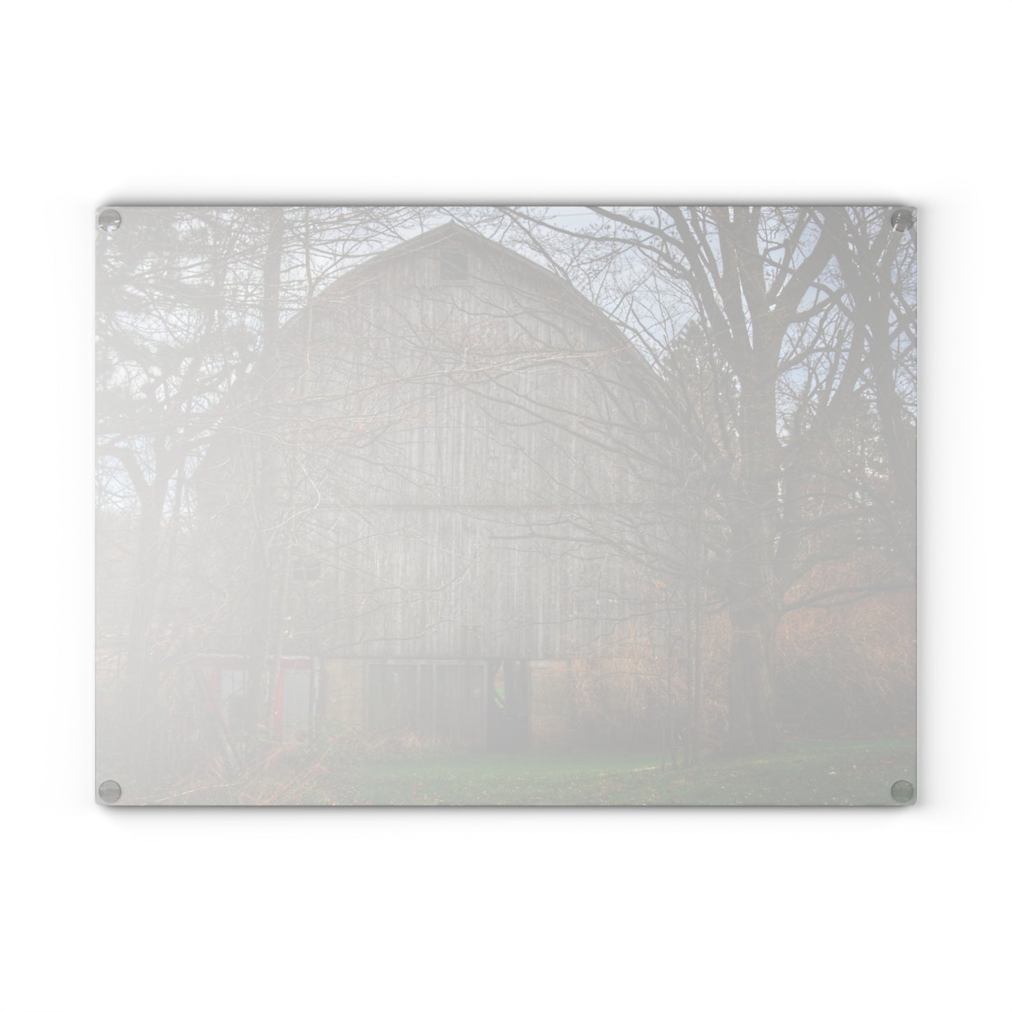 U R There Photography West Murphy Lake Road Grey Rustic Farmhouse Tempered-Glass Cutting Board
