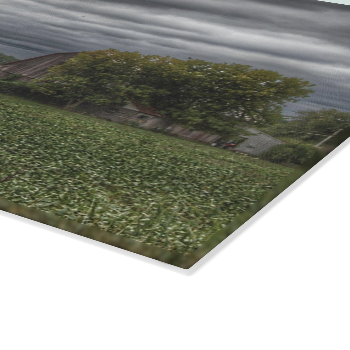 U R There Photography Rider Road Grey Rustic Farmhouse Tempered-Glass Cutting Board