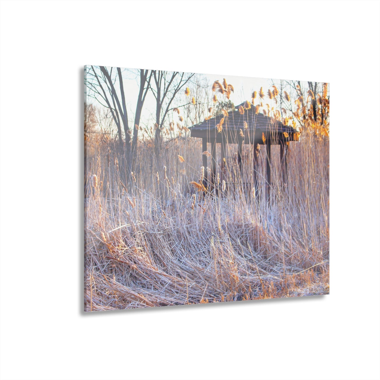 U R There Photography Haines Hidden Gazebo Rustic Farmhouse Acrylic Wall Print