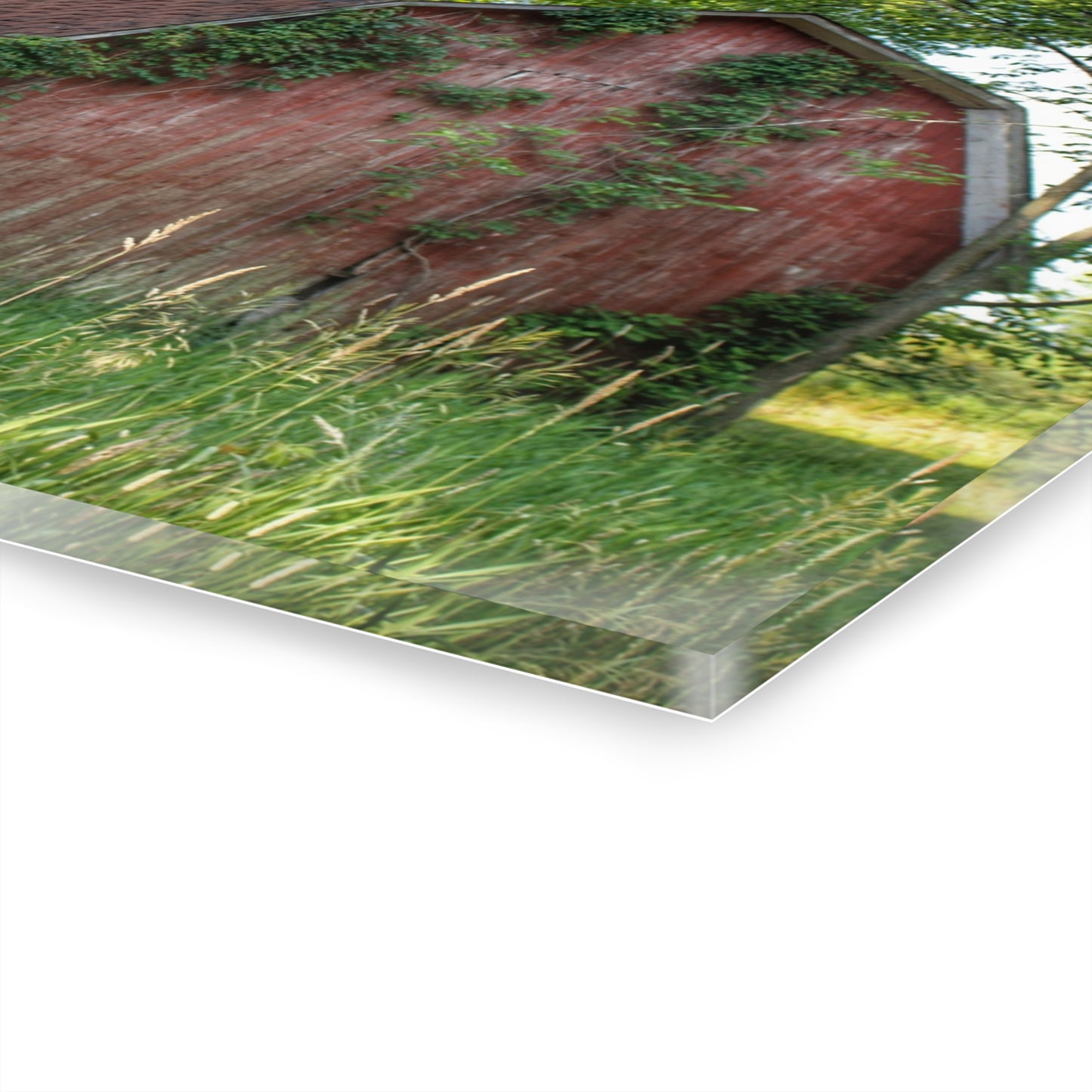 U R There Photography Murphy Lake Road Old Red Rustic Farmhouse Acrylic Wall Print