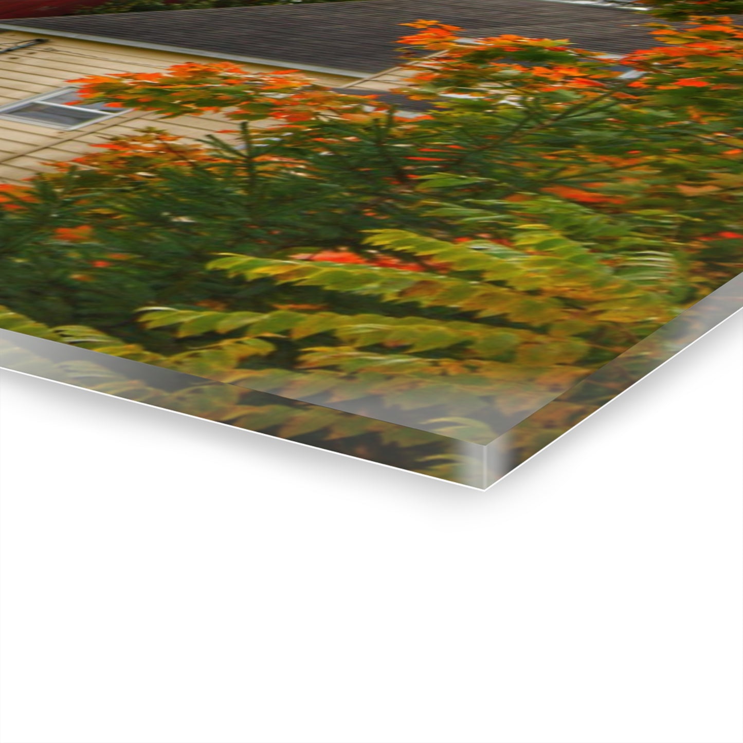 U R There Photography Farnsworth Road Red II Rustic Farmhouse Acrylic Wall Print