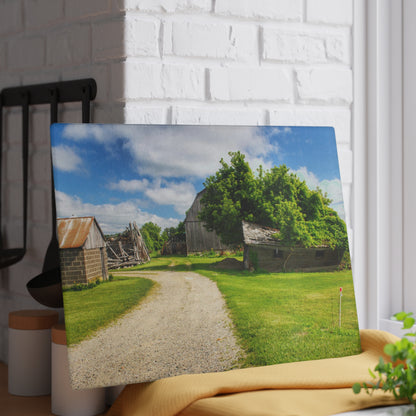 U R There Photography Brown City Road Barn and Buddy II Rustic Farmhouse Tempered-Glass Cutting Board