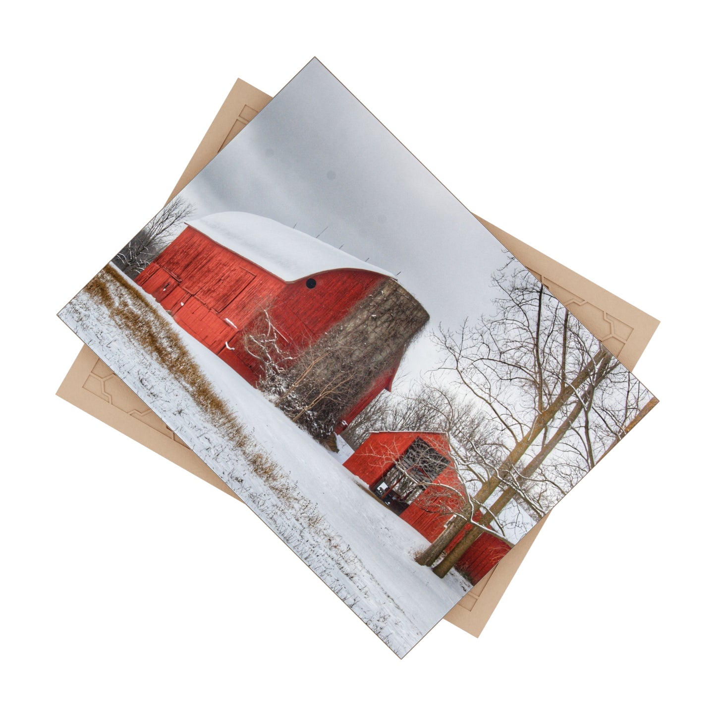 U R There Photography Catlin Reds in Winter I Rustic Farmhouse Decorative Ceramic Tile