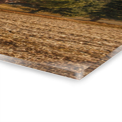 U R There Photography Irish Road Hidden Red Rustic Farmhouse Acrylic Wall Print