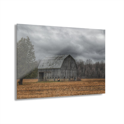 U R There Photography Grey Barn and Tree Rustic Farmhouse Acrylic Wall Print