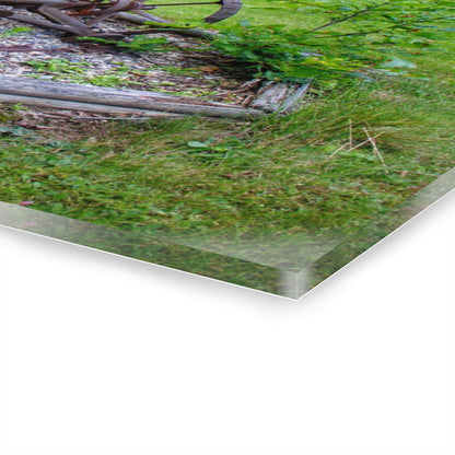 U R There Photography Farm Yard Art Rustic Farmhouse Acrylic Wall Print