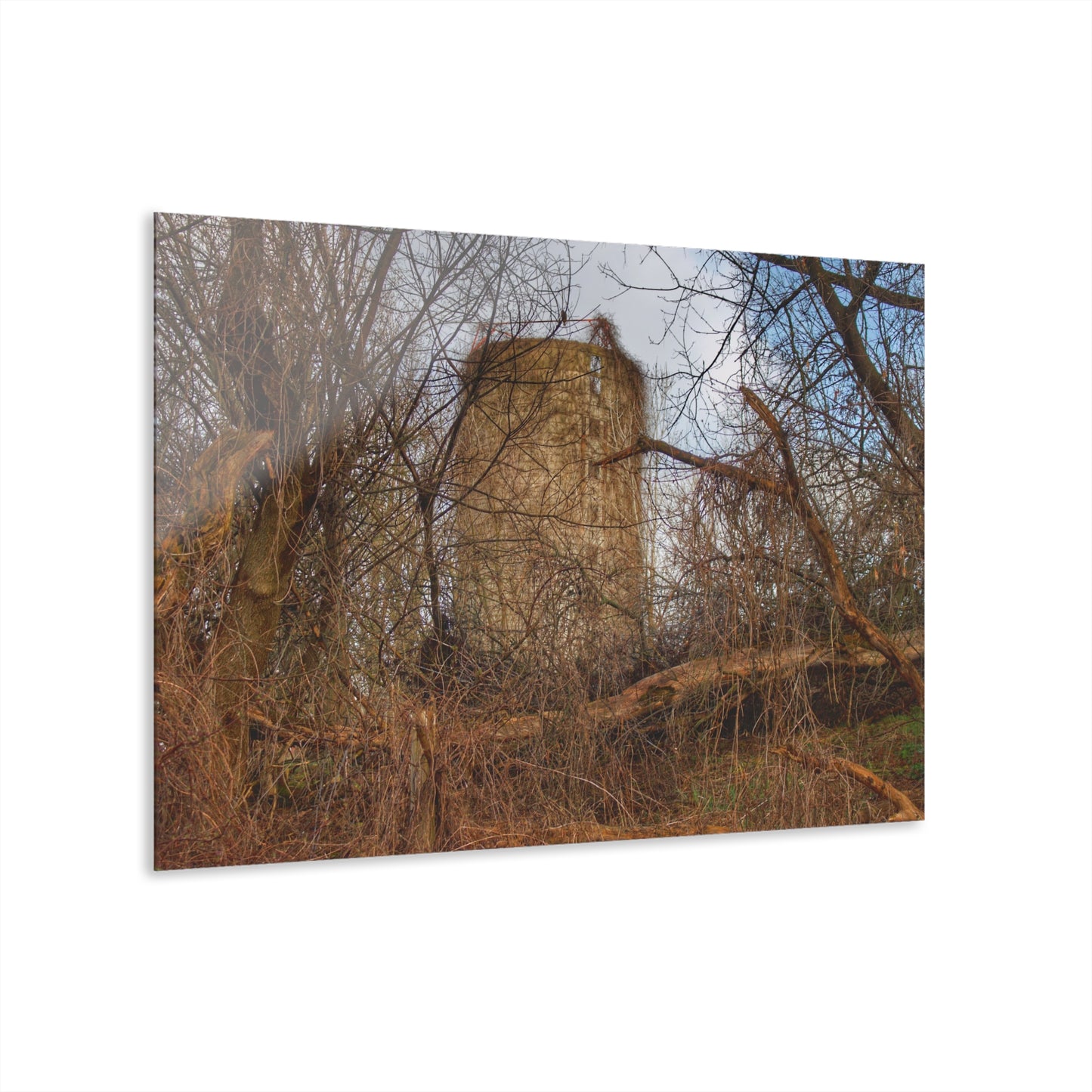 U R There Photography Hidden Silo of Fostoria Rustic Farmhouse Acrylic Wall Print