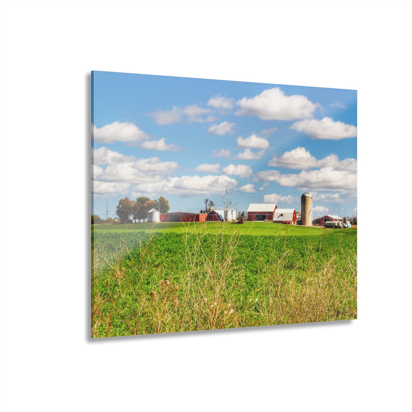 U R There Photography Pattison Road Farm Across the Field II Rustic Farmhouse Acrylic Wall Print
