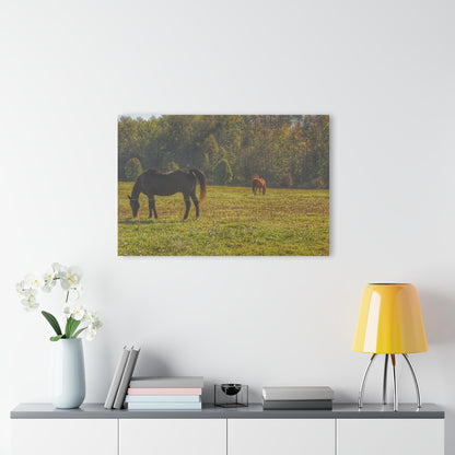 Barn Boutique Modern Farmhouse Acrylic Wall Print| Fargo Road Horses