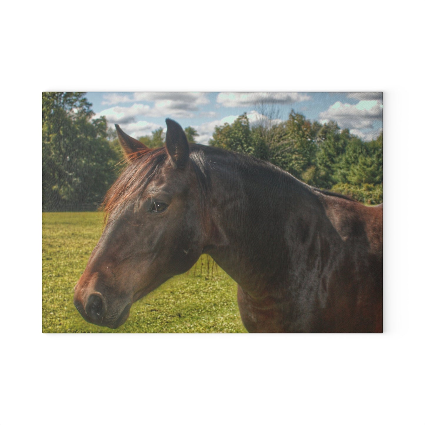 U R There Photography Brown Beauty I Rustic Farmhouse Tempered-Glass Cutting Board