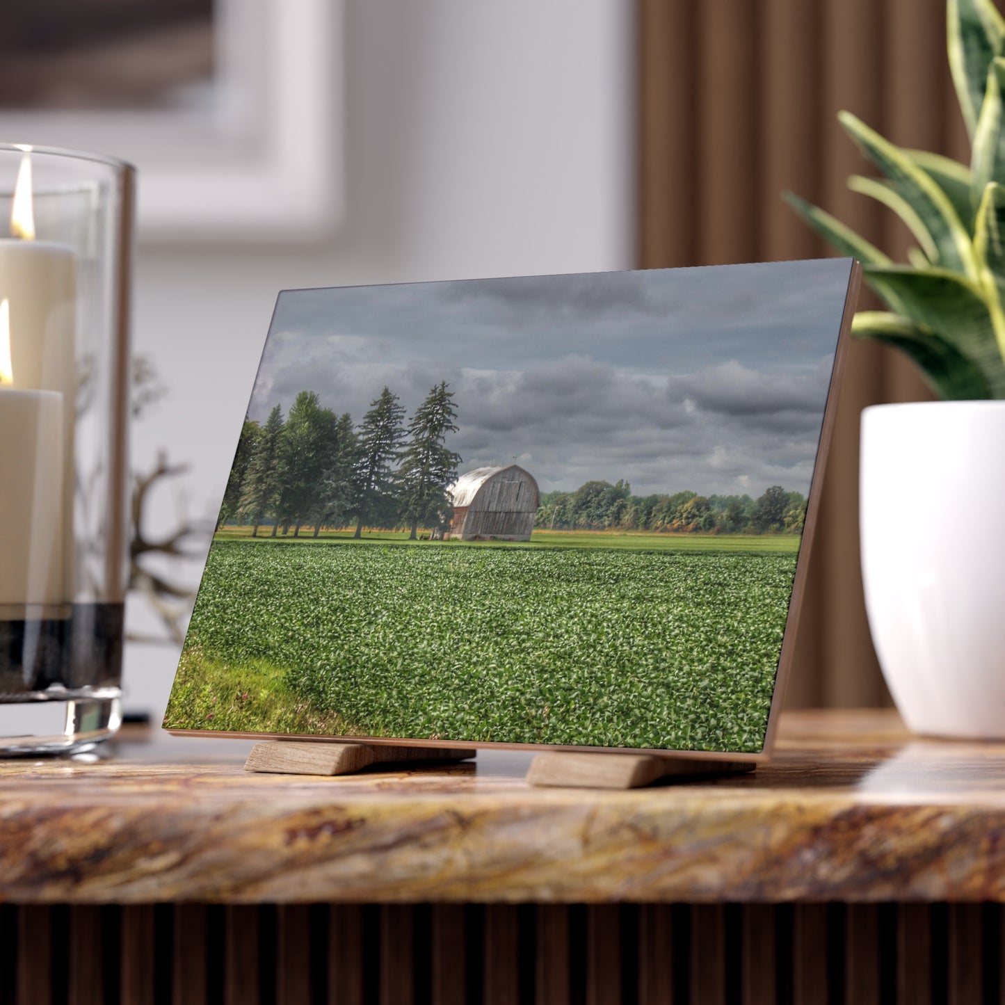 U R There Photography Belsay Grey Among the Pines Rustic Farmhouse Decorative Ceramic Tile