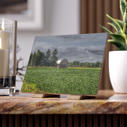 U R There Photography Belsay Grey Among the Pines Rustic Farmhouse Decorative Ceramic Tile