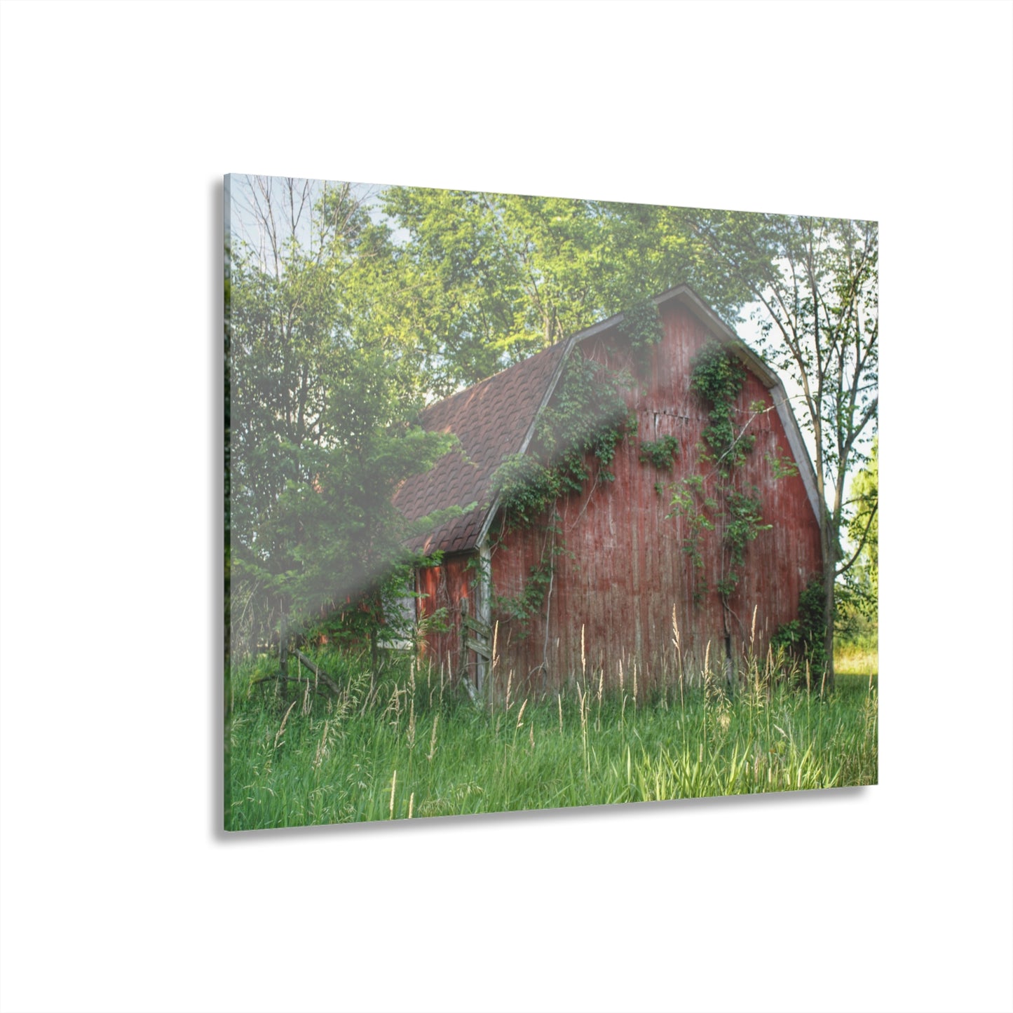 U R There Photography Murphy Lake Road Old Red Rustic Farmhouse Acrylic Wall Print
