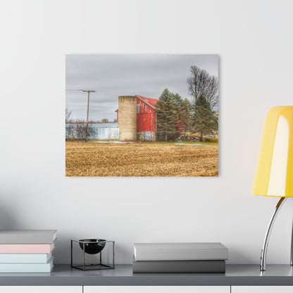 U R There Photography Laur Road Red Among the Pines I Rustic Farmhouse Acrylic Wall Print