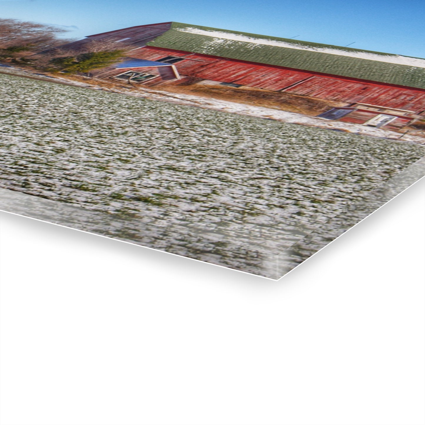 U R There Photography Early Spring Red II Rustic Farmhouse Acrylic Wall Print