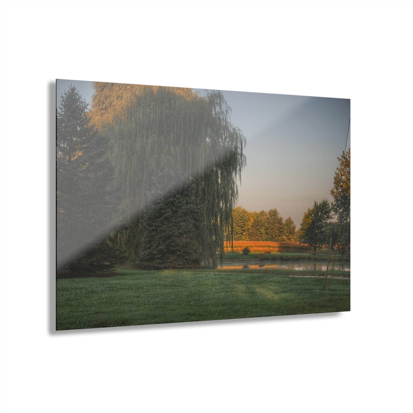 U R There Photography Sunrise on Willow Pond II Rustic Farmhouse Acrylic Wall Print