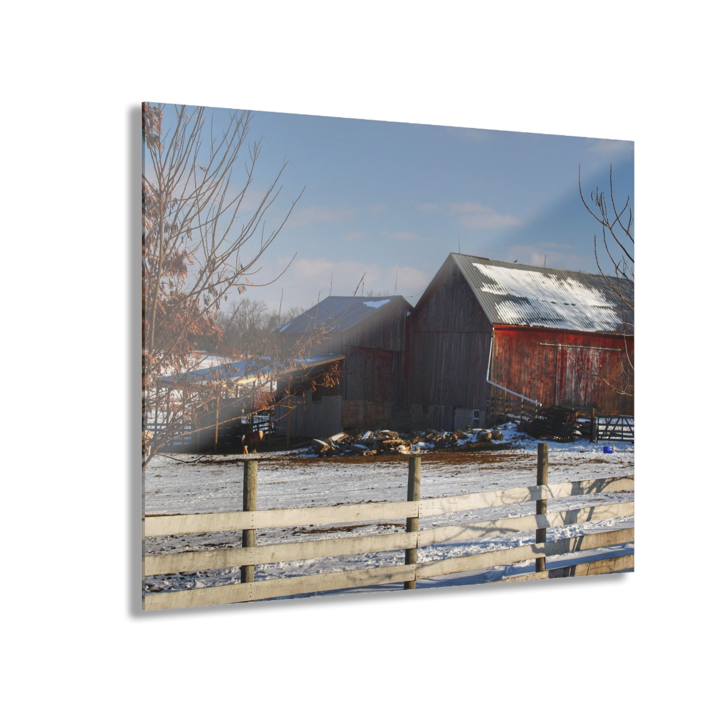 U R There Photography Attica Reds Rustic Farmhouse Acrylic Wall Print