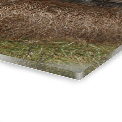 U R There Photography Grey Saltbox Rustic Farmhouse Acrylic Wall Print