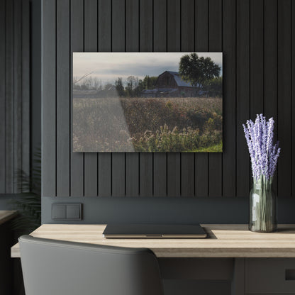 U R There Photography Brown City Road Red Rustic Farmhouse Acrylic Wall Print