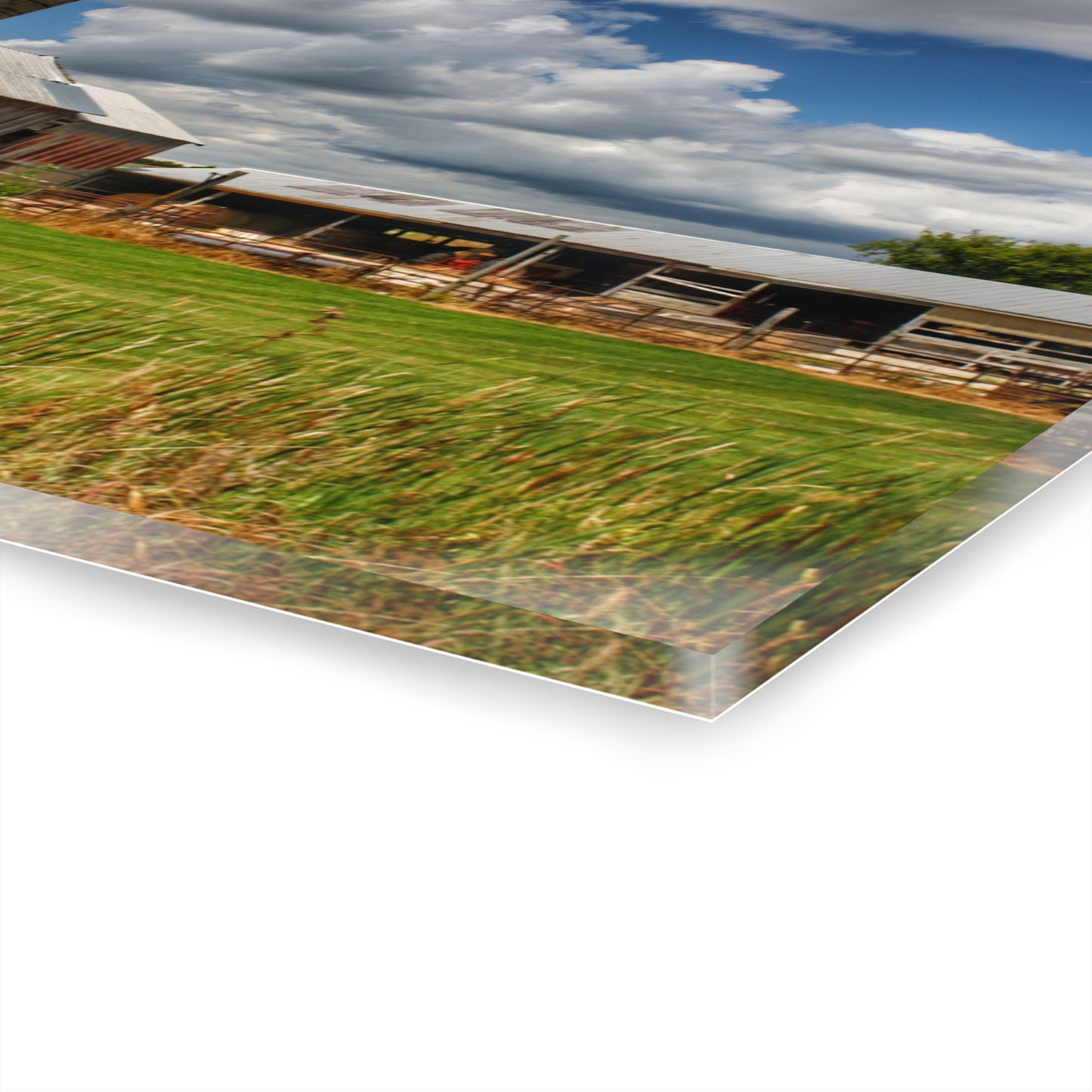 U R There Photography Millington Grey and Silos Rustic Farmhouse Acrylic Wall Print